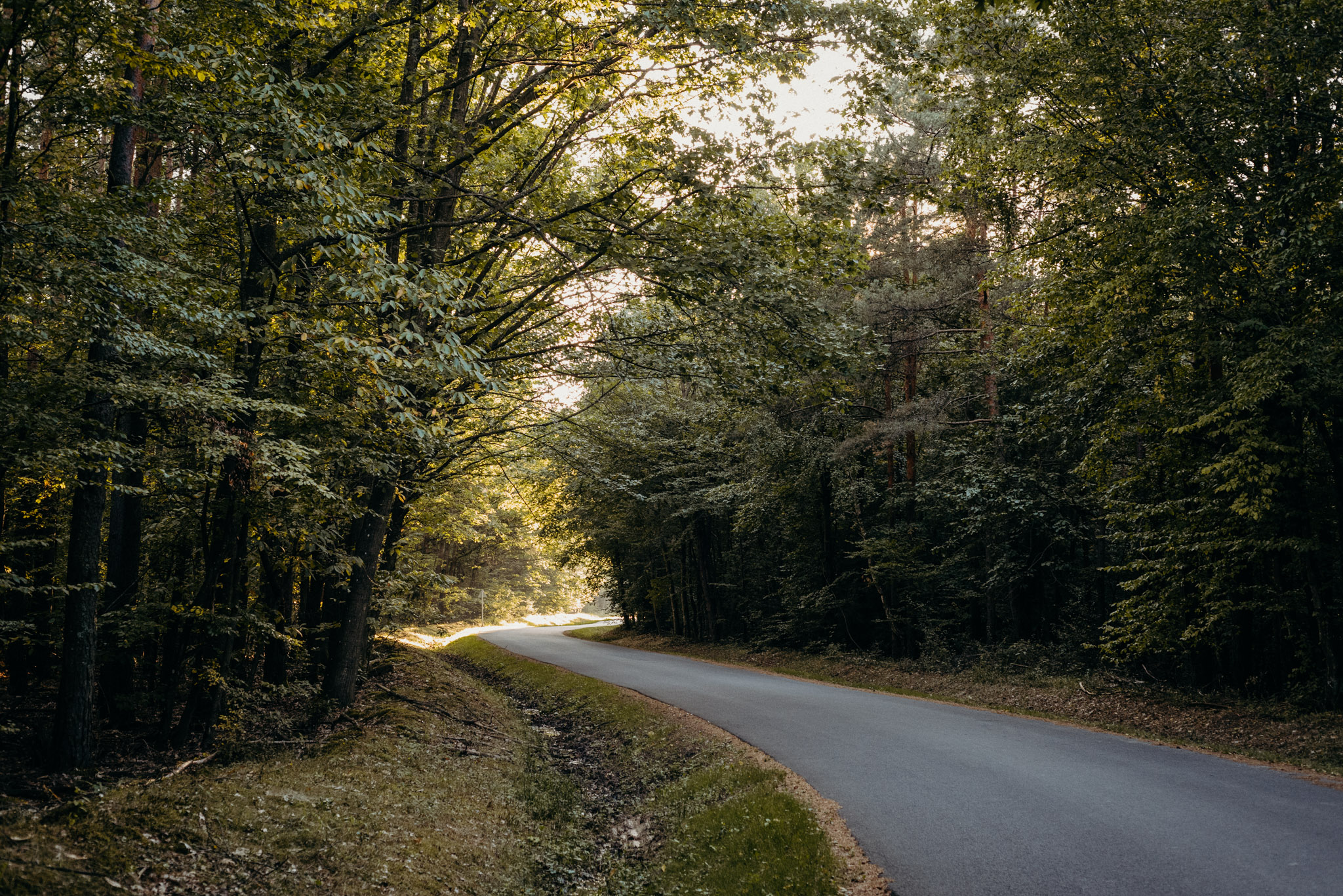 mg zsuzsi es csabi editorial web