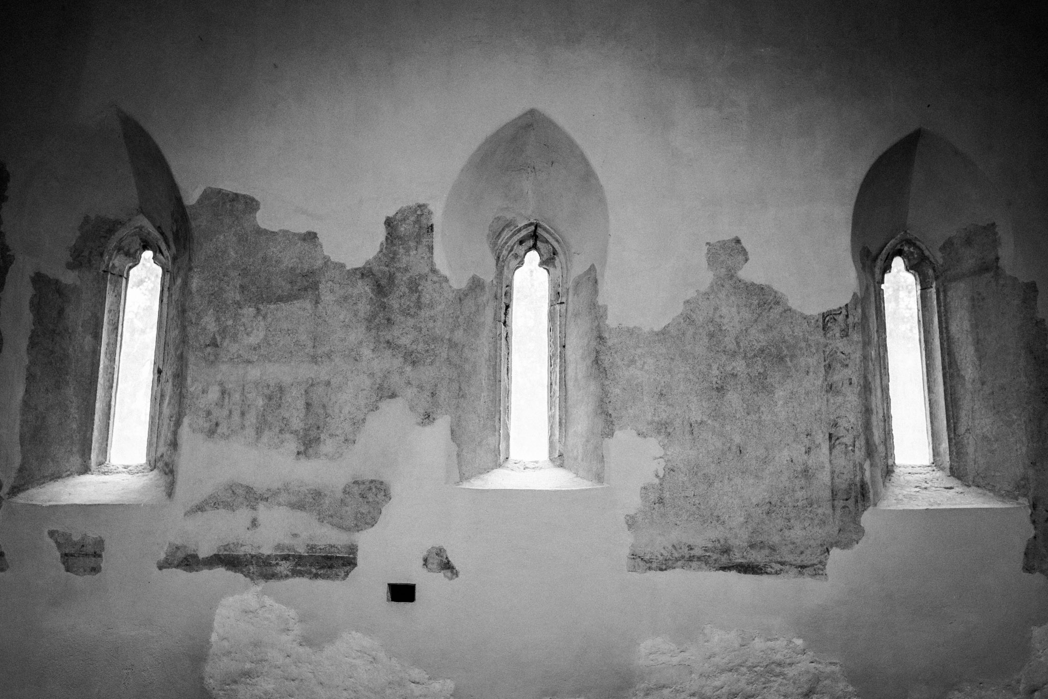 mg zsuzsi es csabi editorial web