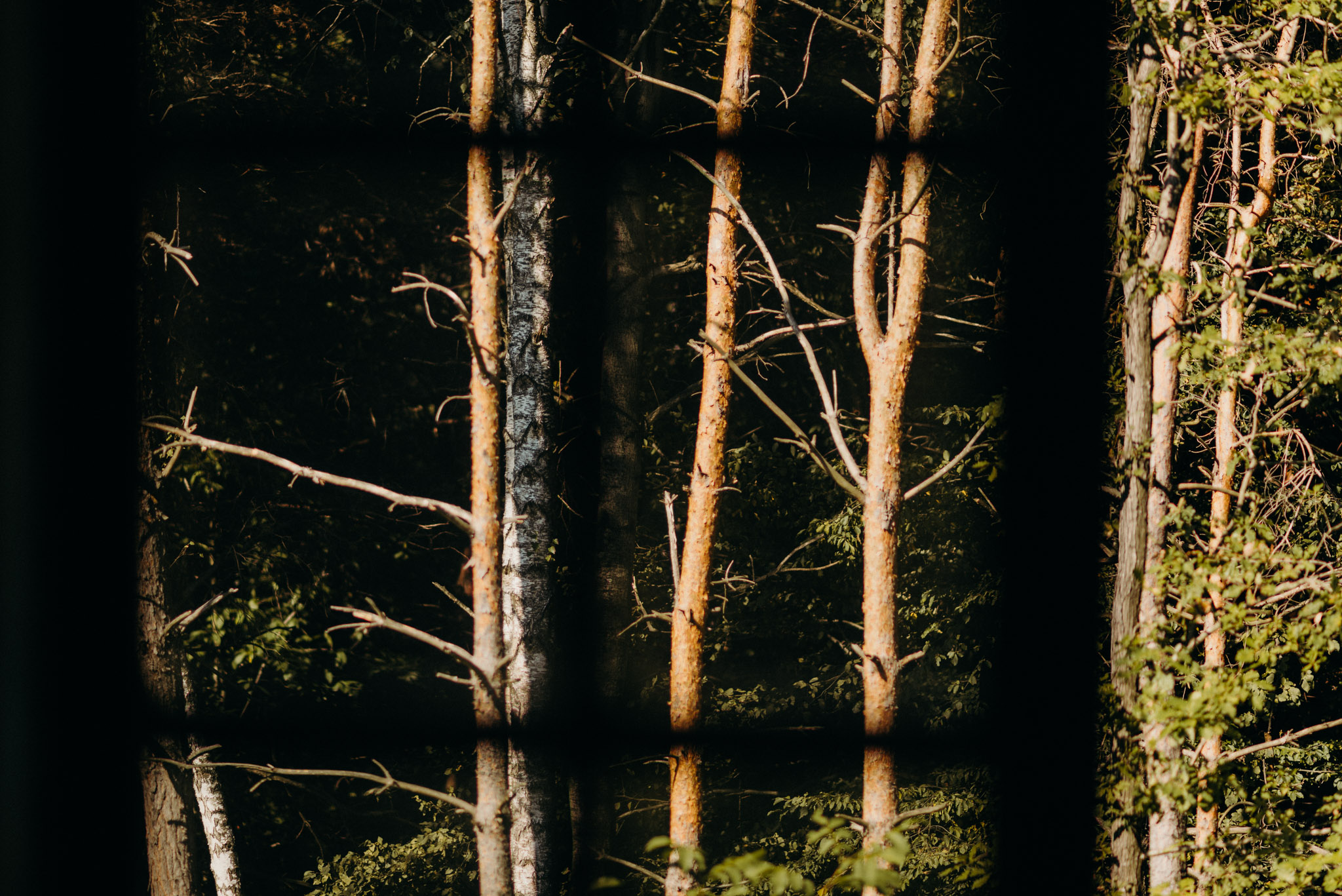 mg zsuzsi es csabi editorial web