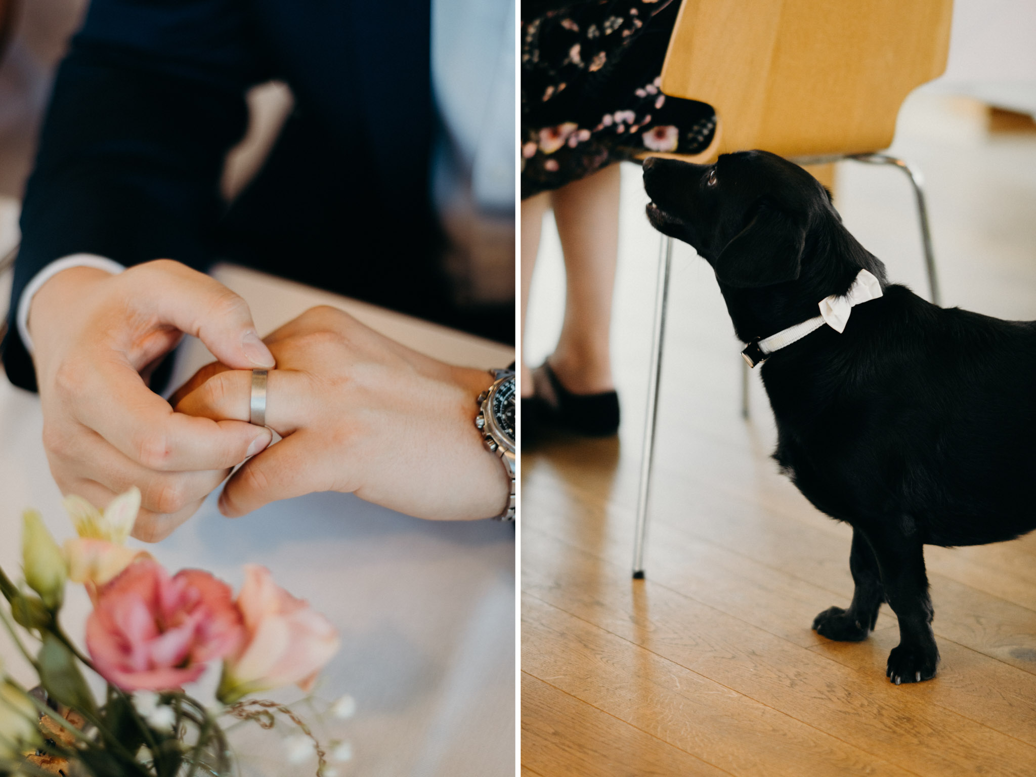 mg zsuzsi es csabi editorial web