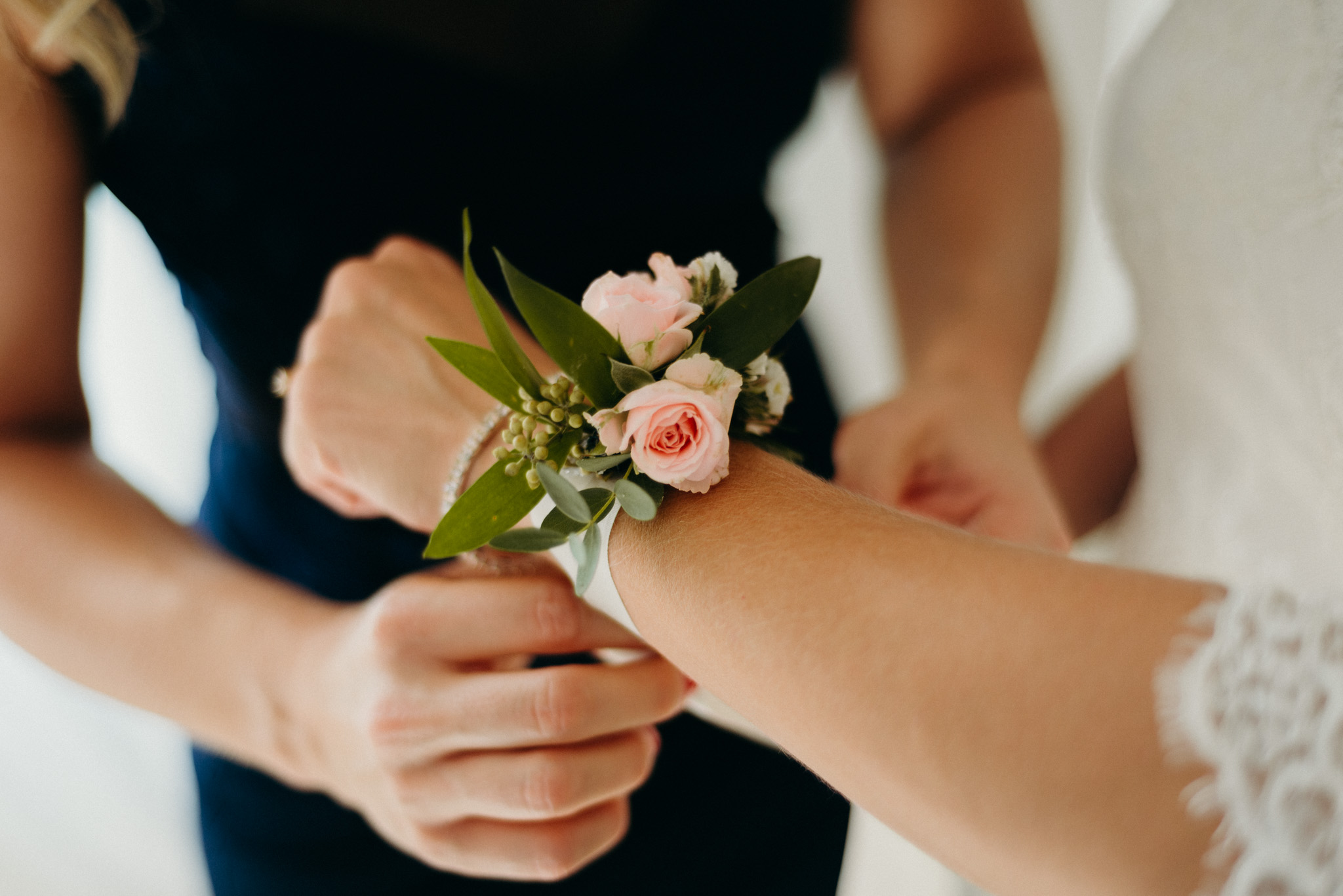 mg gabi es gabor editorial