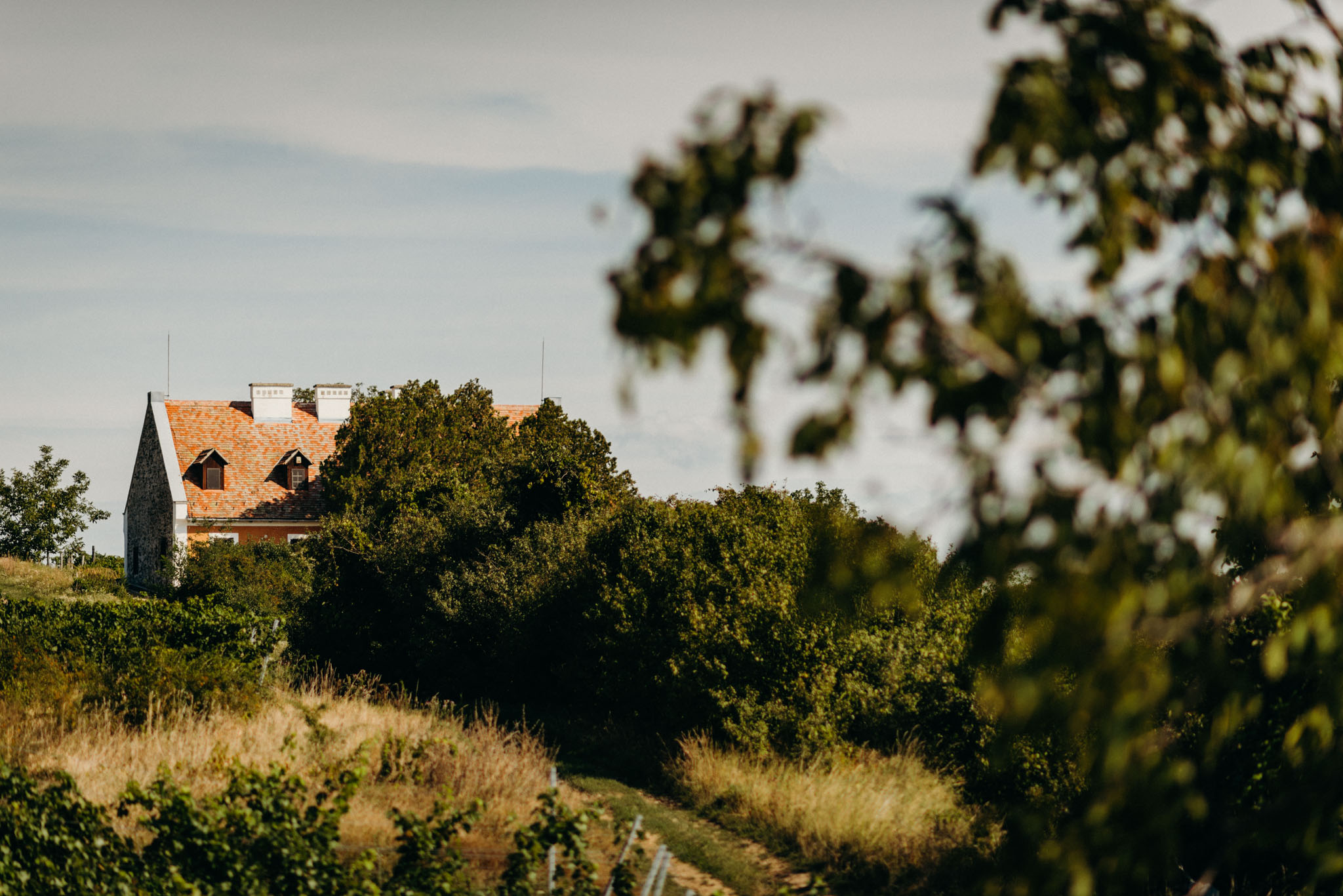 mg gabi es gabor editorial