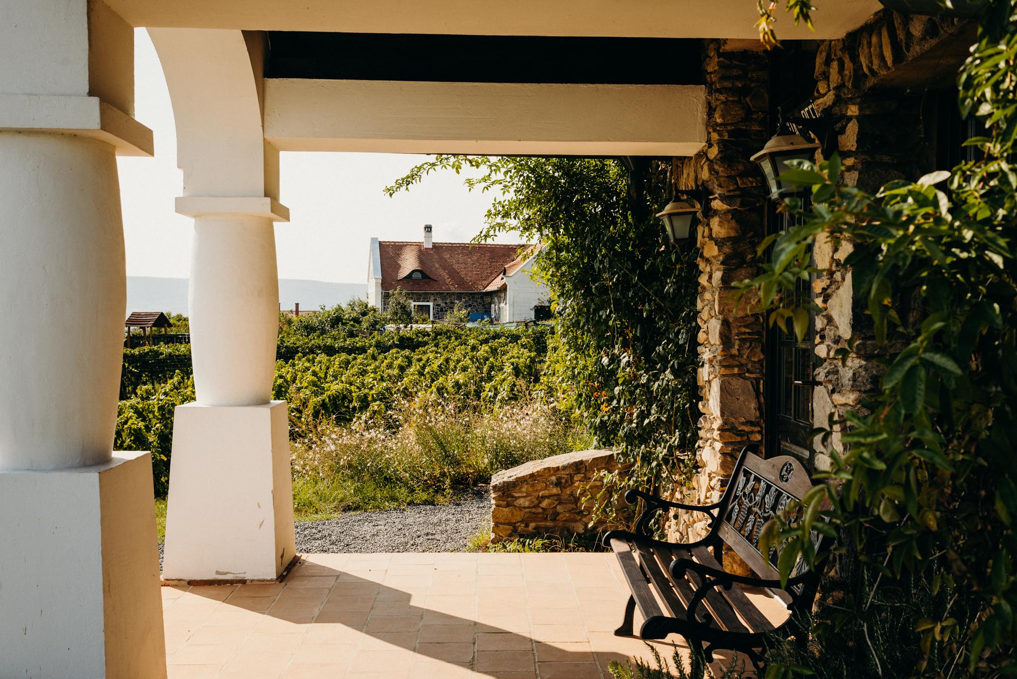 mg gabi es gabor editorial