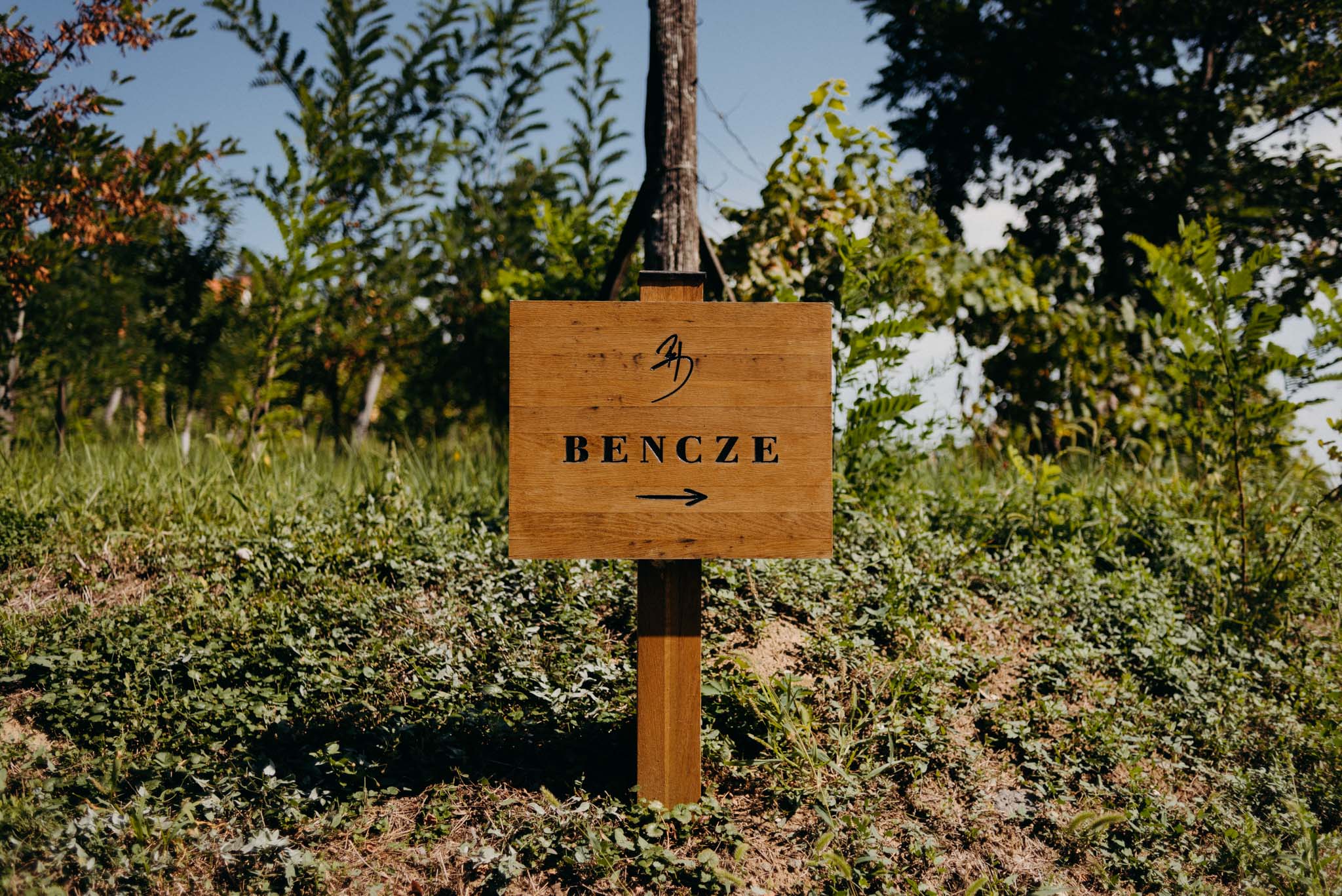 mg gabi es gabor editorial