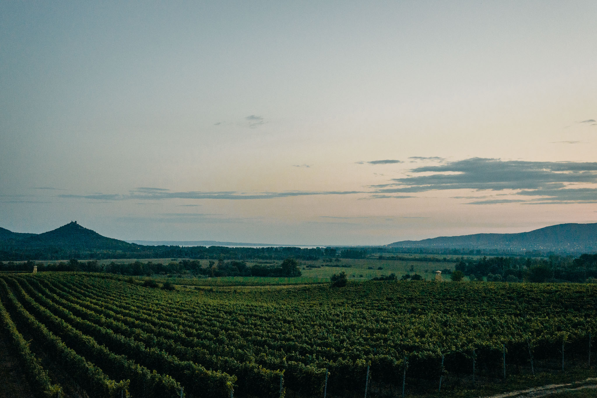 mg gabi es gabor editorial