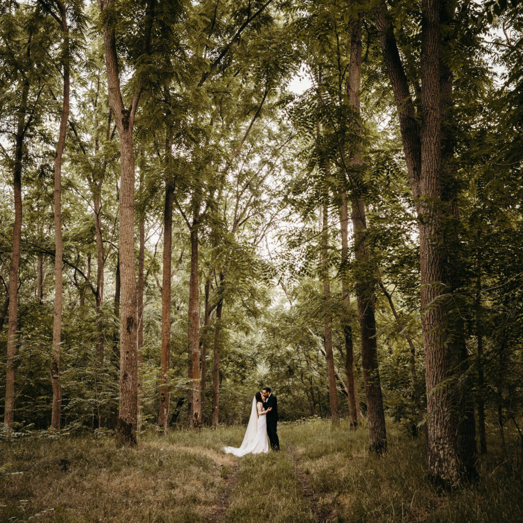 mg dorina es gabor prev